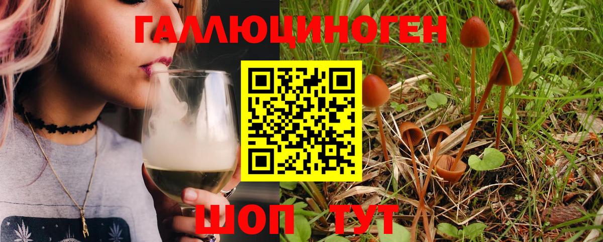 Галлюциногенные грибы Psilocybe Сызрань