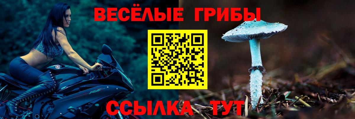 Сызрань  купить   Вход с VPN  Галлюциногенные грибы GOLDEN TEACHER 